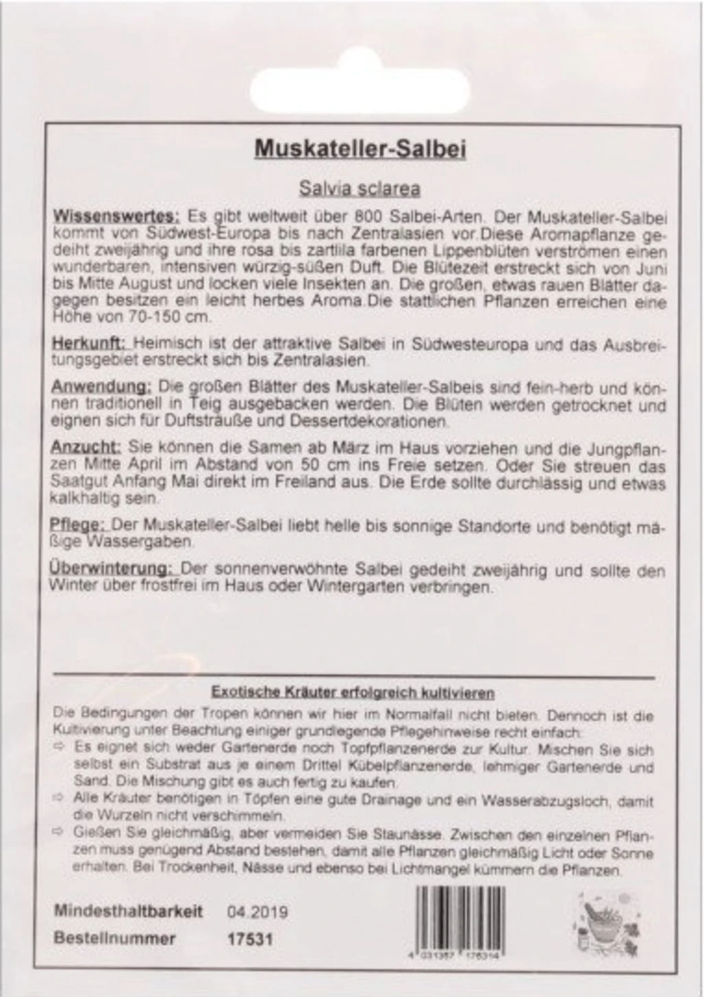 Muskateller-Salbei, 200 Korn 4 Muskateller-Salbei, 200 Korn – Bild 2