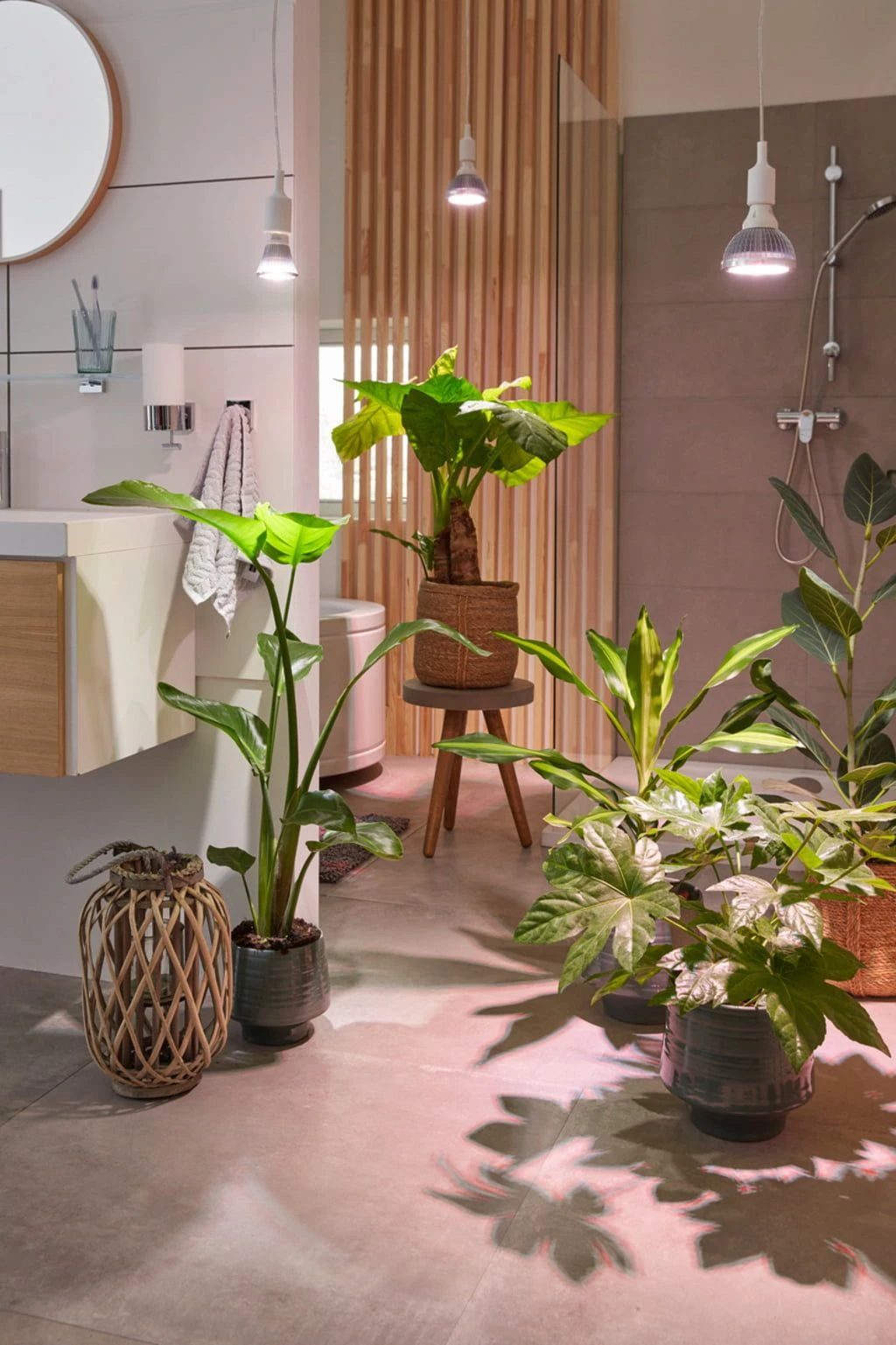 E27 Pflanzenlampe "Indoor Plants", 18 Watt 3 E27 Pflanzenlampe "Indoor Plants", 18 Watt