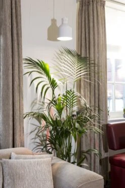 E27 Pflanzenlampe "Indoor Plants", 18 Watt 9 E27 Pflanzenlampe "Indoor Plants", 18 Watt -Deutschland Gartenbedarf Verkäufe 2024 venso e27 pflanzenlampe indoor plants 884493 de