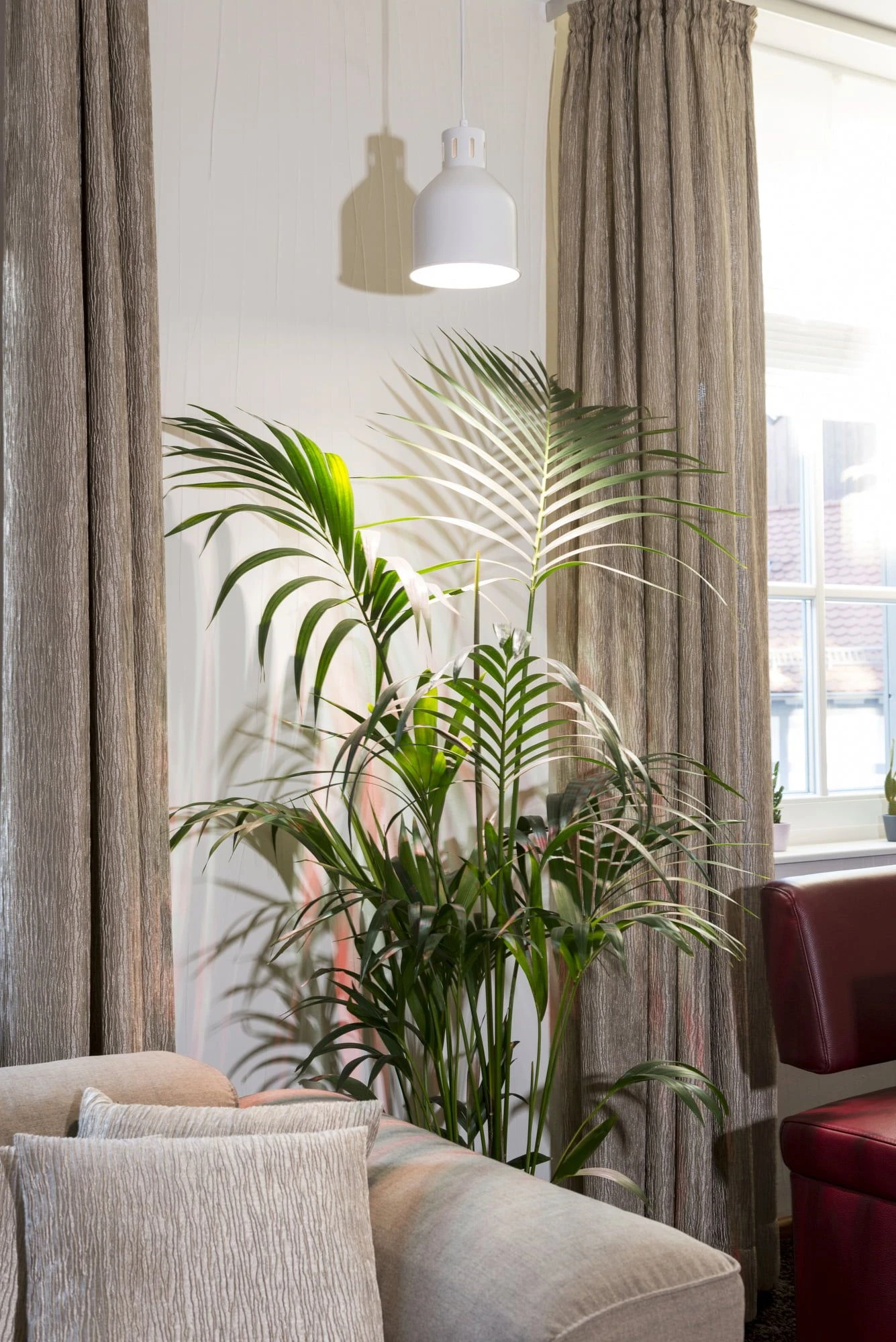 E27 Pflanzenlampe "Indoor Plants", 18 Watt 6 E27 Pflanzenlampe "Indoor Plants", 18 Watt – Bild 4