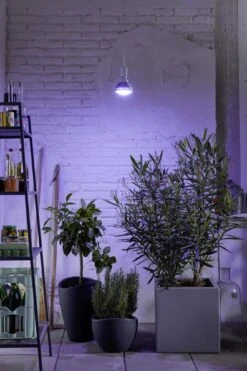 E27 Pflanzenlampe "Winter", 18 Watt -Deutschland Gartenbedarf Verkäufe 2024 venso e27 pflanzenlampe winter 18 watt 884730 de