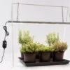 GrowLight Duo Mit Stativ 2 GrowLight Duo Mit Stativ -Deutschland Gartenbedarf Verkäufe 2024 venso growlight duo mit stativ 1 set 884014 de