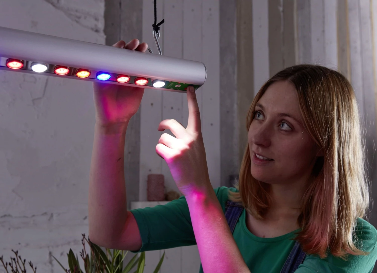 GrowLight Quattro, 35 Watt 3 GrowLight Quattro, 35 Watt