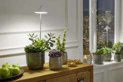 SUNLiTE Pflanzenlampe 7W, Weiß 9 SUNLiTE Pflanzenlampe 7W, Weiß -Deutschland Gartenbedarf Verkäufe 2024 venso sunlite pflanzenlampe 7w weiss 884211 de