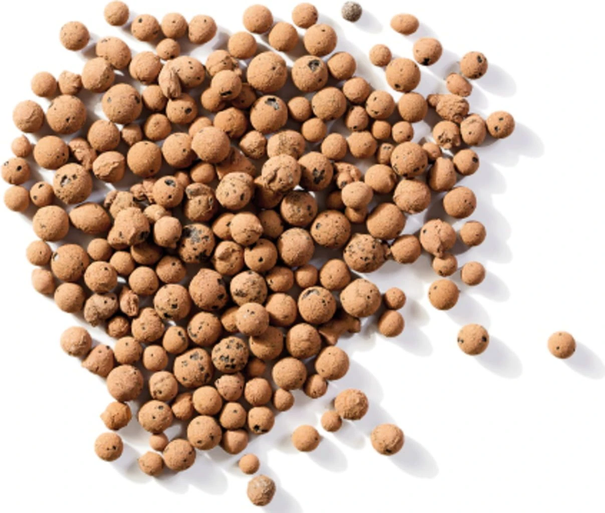 Westland Tongranulat Drainage, 5 L 4 Westland Tongranulat Drainage, 5 L – Bild 2