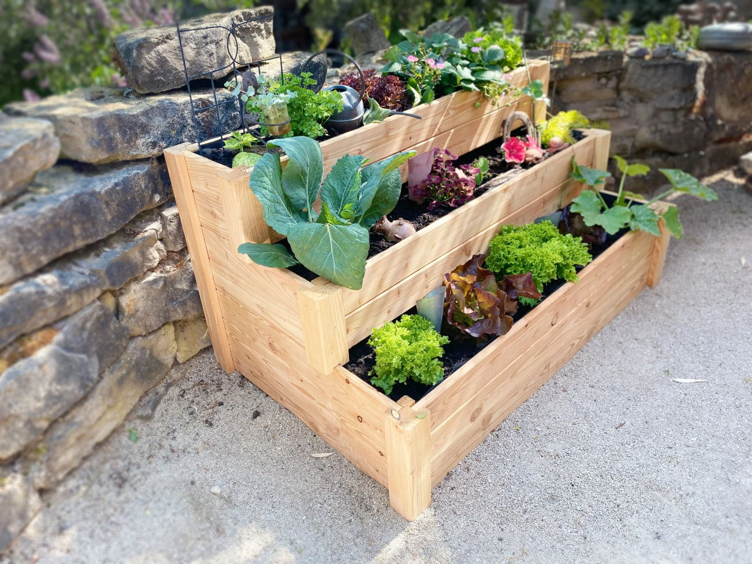 Premium Treppenhochbeet 7 Premium Treppenhochbeet – Bild 5