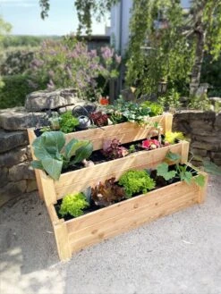 Premium Treppenhochbeet 13 Premium Treppenhochbeet -Deutschland Gartenbedarf Verkäufe 2024 westmann premium treppenhochbeet 1 stk 1281375 de