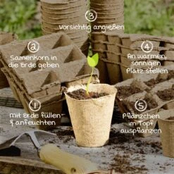 Windhager Anzucht-Töpfe 8 Cm Rund, 16 Stück 7 Windhager Anzucht-Töpfe 8 Cm Rund, 16 Stück -Deutschland Gartenbedarf Verkäufe 2024 windhager anzucht toepfe 8cm rund 16 k 1147657 de