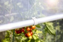 Windhager Ersatzclip Für Tomatenhaus Alustar -Deutschland Gartenbedarf Verkäufe 2024 windhager ersatzclip fuer tomatenhaus alustar 1 set 1670524 de