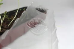 Windhager Fensterbank-Treibhaus 54,5x16,5 Cm -Deutschland Gartenbedarf Verkäufe 2024 windhager fensterbank treibhaus 545x165 cm 1 st 1667495 de