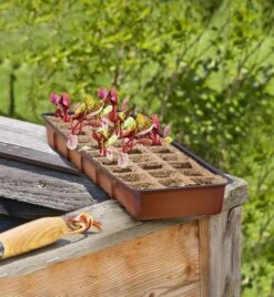 Windhager Fensterbank-Treibhaus Inkl. 30 Töpfe 10 Windhager Fensterbank-Treibhaus Inkl. 30 Töpfe -Deutschland Gartenbedarf Verkäufe 2024 windhager fensterbank treibhaus inkl 30 toepfe 1 set 659783 de