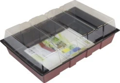 Windhager Fensterbank-Treibhaus Maxi -Deutschland Gartenbedarf Verkäufe 2024 windhager fensterbank treibhaus maxi 1 stk 659823 de