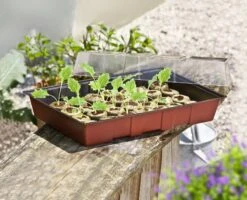 Windhager Fensterbank-Treibhaus Maxi -Deutschland Gartenbedarf Verkäufe 2024 windhager fensterbank treibhaus maxi 1 stk 659853 de