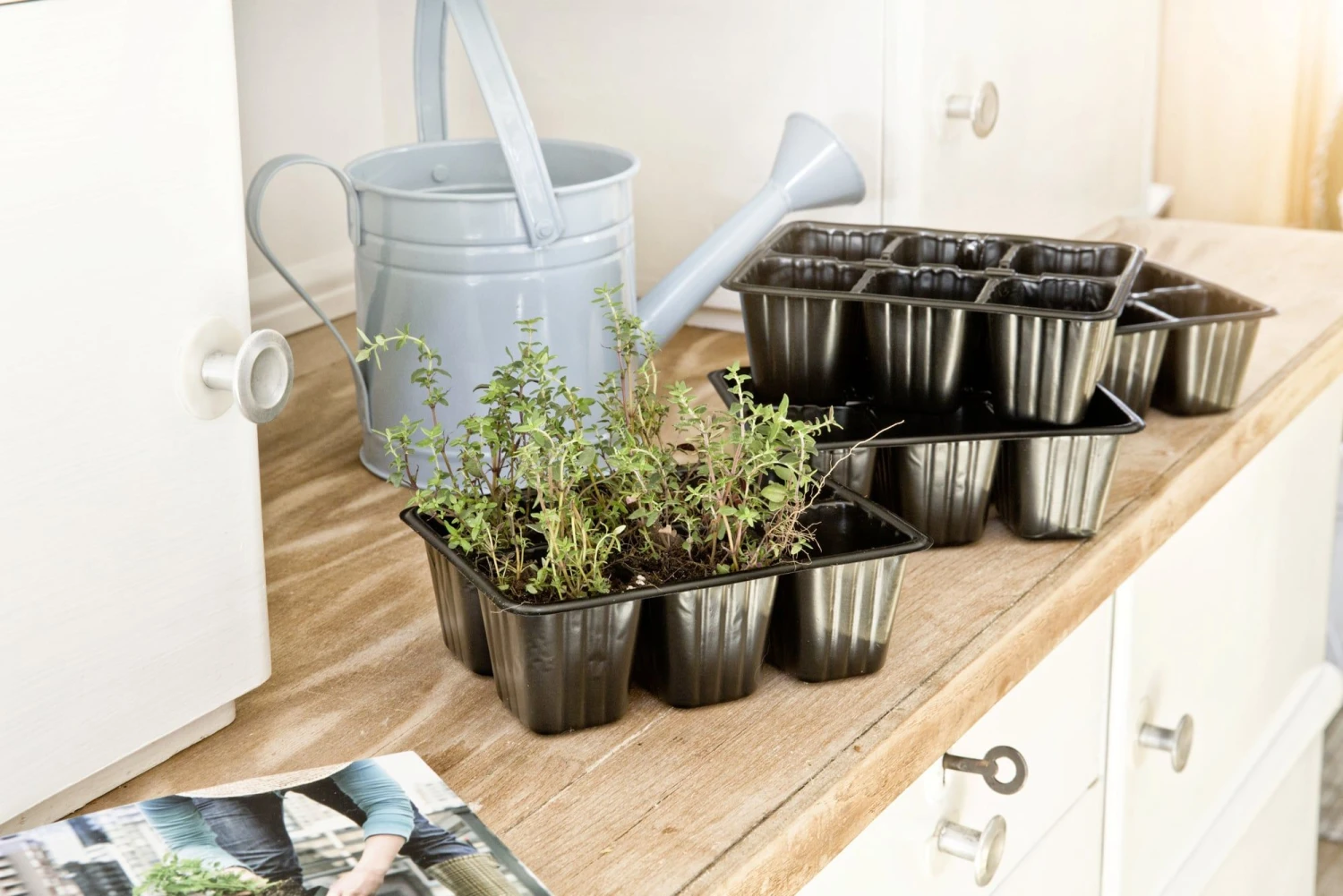 Windhager Topfplatten, 6er Platte 3 Windhager Topfplatten, 6er Platte