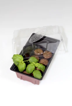 Windhager Zimmer-Treibhaus Mini Mit 8x Quelltabs -Deutschland Gartenbedarf Verkäufe 2024 windhager zimmer treibhaus mini mit 8x quelltabs 1 st 1668885 de