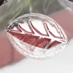 Windhager Zimmer-Treibhaus Mini Mit 8x Quelltabs -Deutschland Gartenbedarf Verkäufe 2024 windhager zimmer treibhaus mini mit 8x quelltabs 1 st 1668886 de