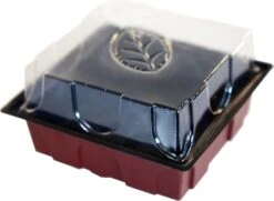 Windhager Zimmertreibhaus Inkl. 12 Quelltabs -Deutschland Gartenbedarf Verkäufe 2024 windhager zimmertreibhaus inkl 12 quelltabs 1 set 659923 de