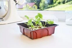 Windhager Zimmertreibhaus Inkl. 12 Quelltabs -Deutschland Gartenbedarf Verkäufe 2024 windhager zimmertreibhaus inkl 12 quelltabs 1 set 659933 de