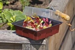 Windhager Zimmertreibhaus Inkl. 12 Quelltabs -Deutschland Gartenbedarf Verkäufe 2024 windhager zimmertreibhaus inkl 12 quelltabs 1 set 659953 de