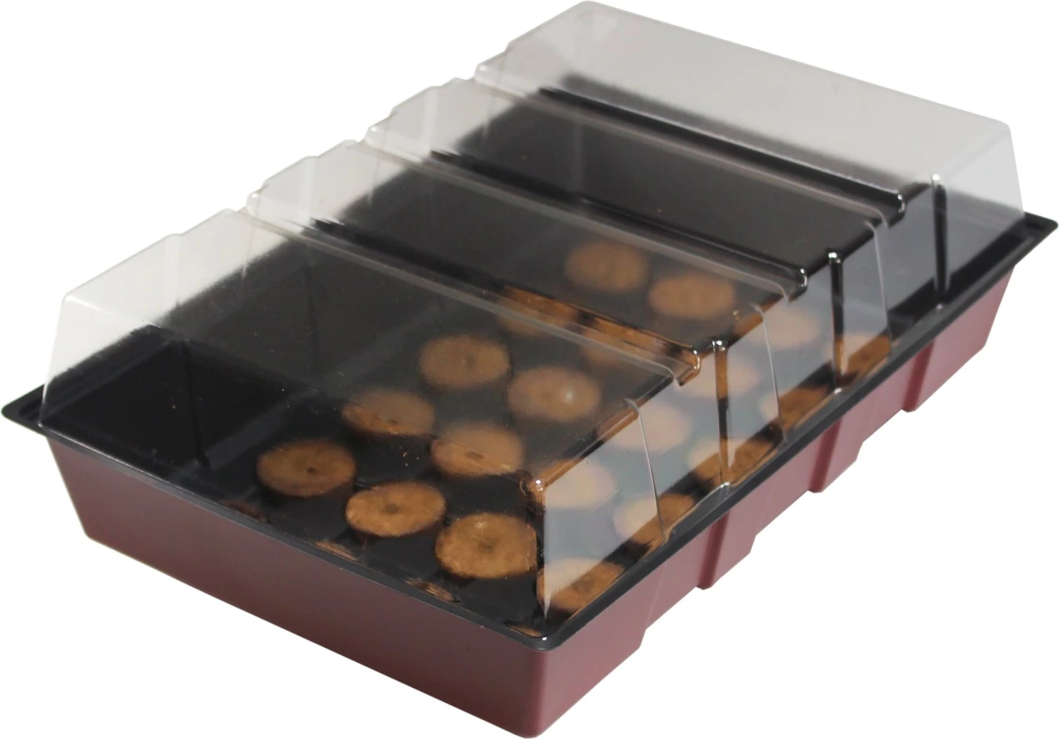 Windhager Zimmertreibhaus Inkl. 24 Quelltabs 3 Windhager Zimmertreibhaus Inkl. 24 Quelltabs